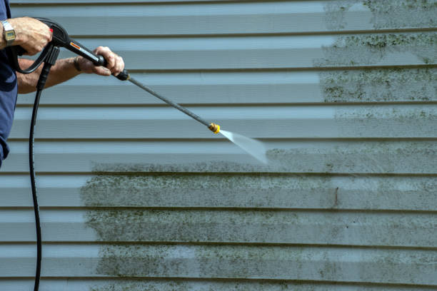 Best Exterior Home Cleaning  in Fox Chapel, PA