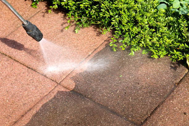 Best Roof Power Washing Services  in Fox Chapel, PA